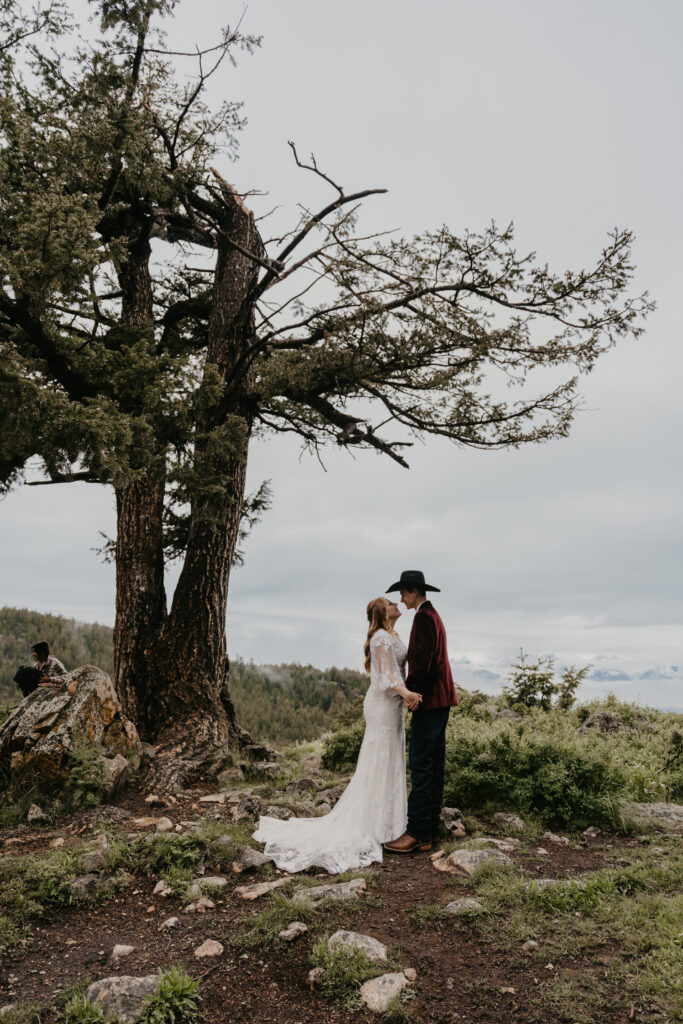 A dreamy and romantic sunrise elopement with vow exchanges at The Wedding Tree in Jackson, WY.